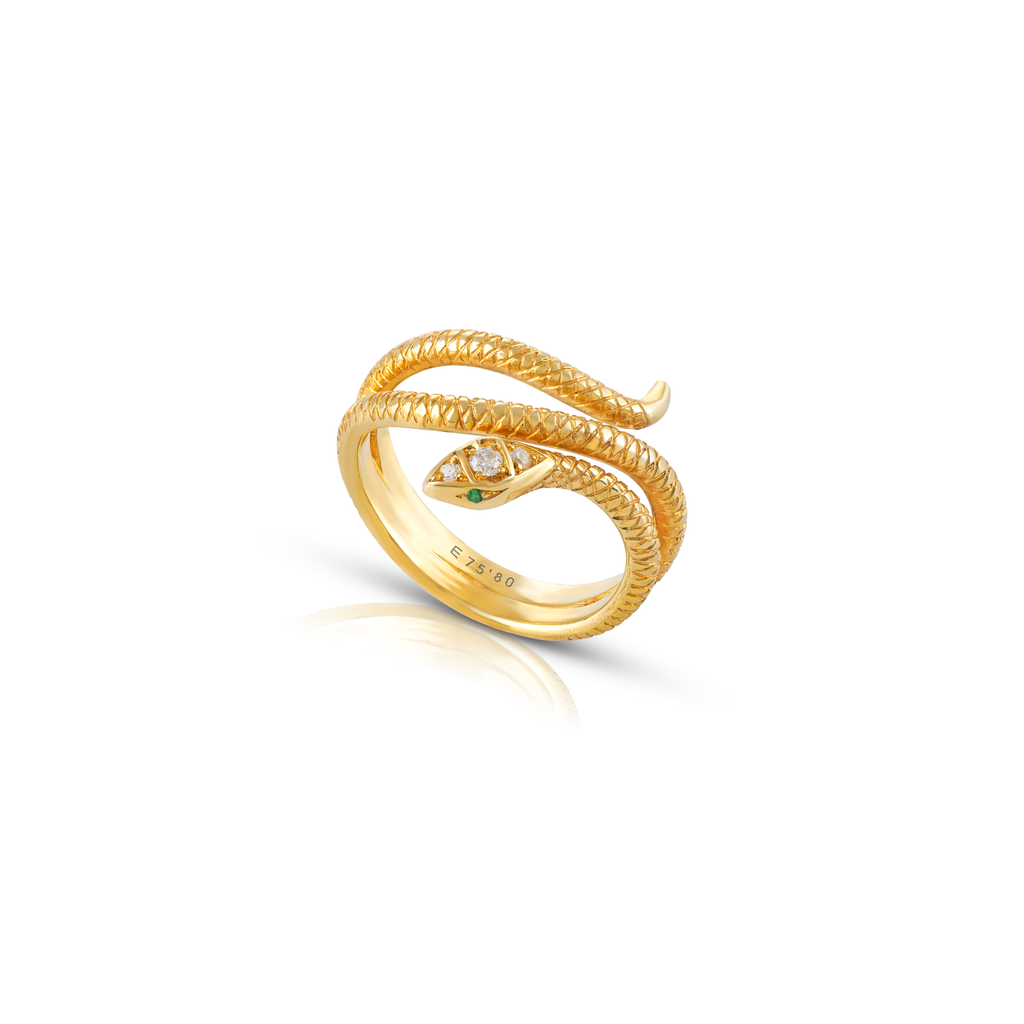Anel Snake