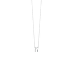 Double Charlie Necklace