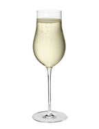 Flute de Champanhe Sky - 6 unidades