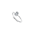 Balzac Ring 