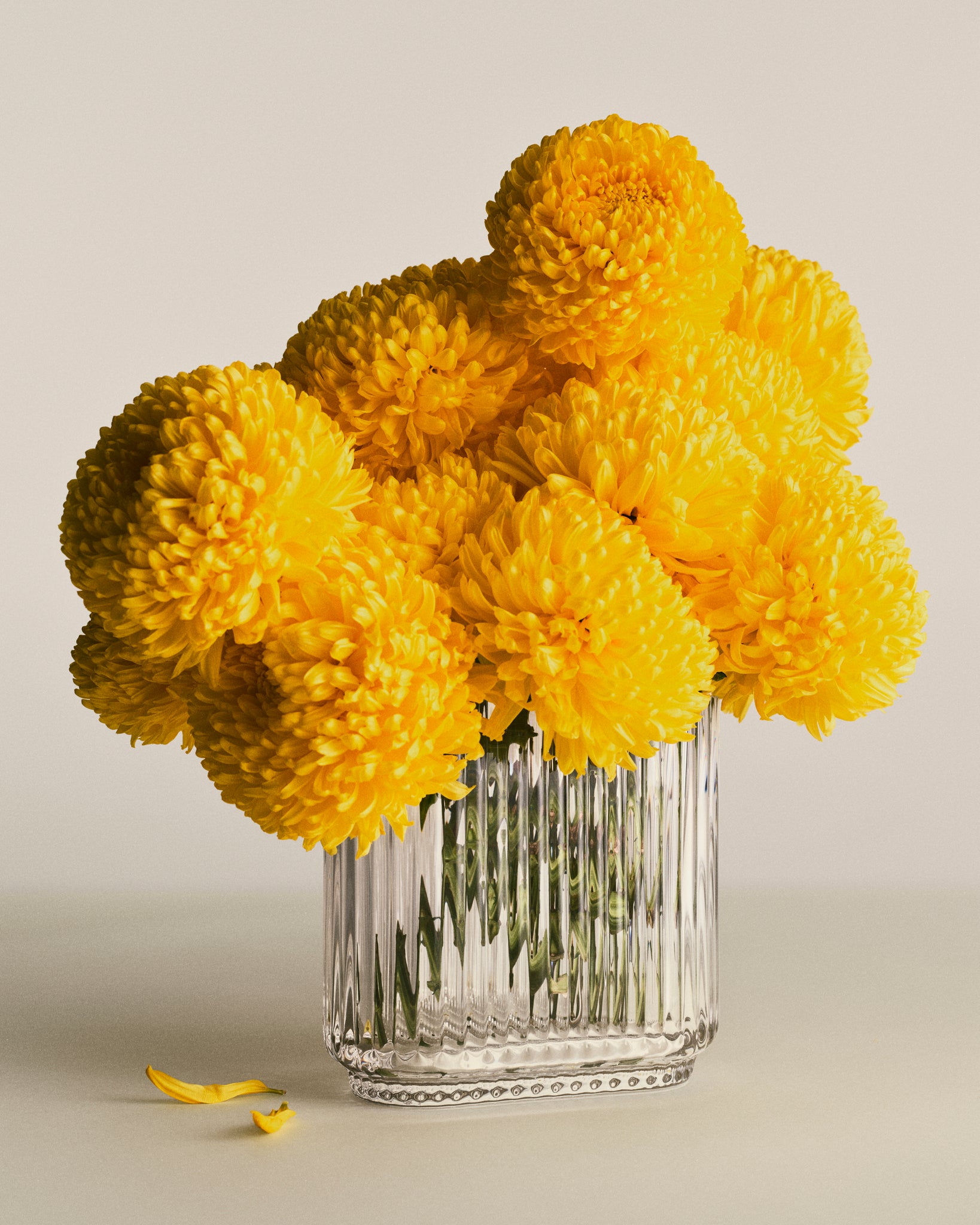 Bernadotte Oval Glass Vase