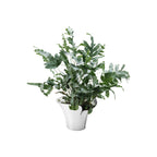 Bloom Botanica Vase 19cm