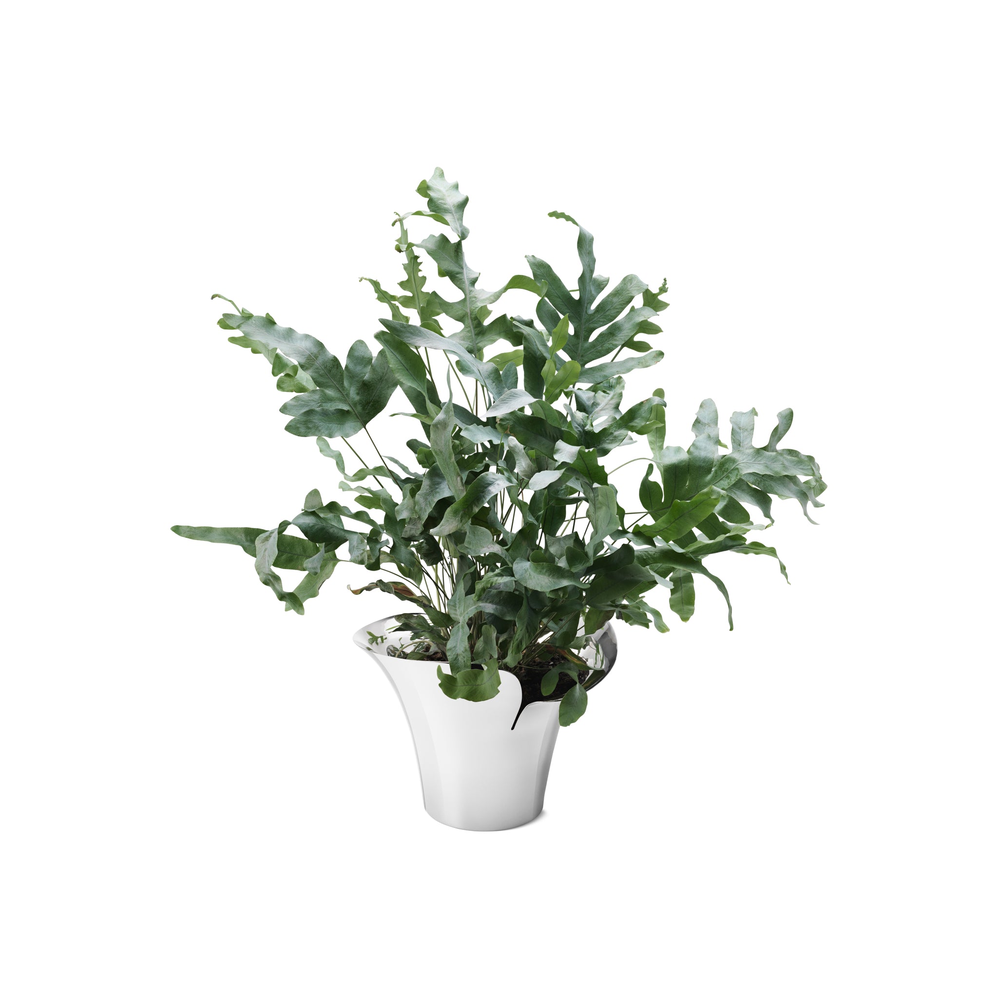 Bloom Botanica Vase 19cm